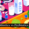 تاثیر پروبیوتیک ها و پری بیوتیک ها بر بافت مواد غذایی